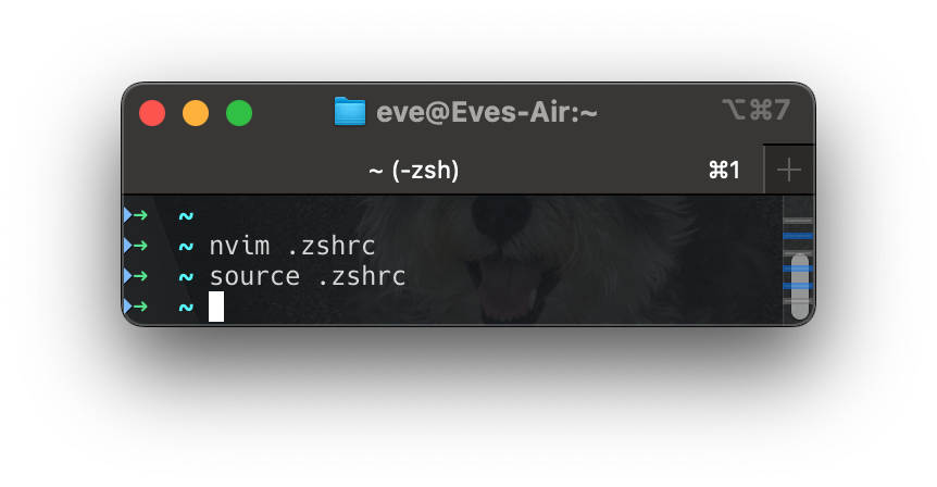 Screenshot 2023-10-17 at 17.12.58